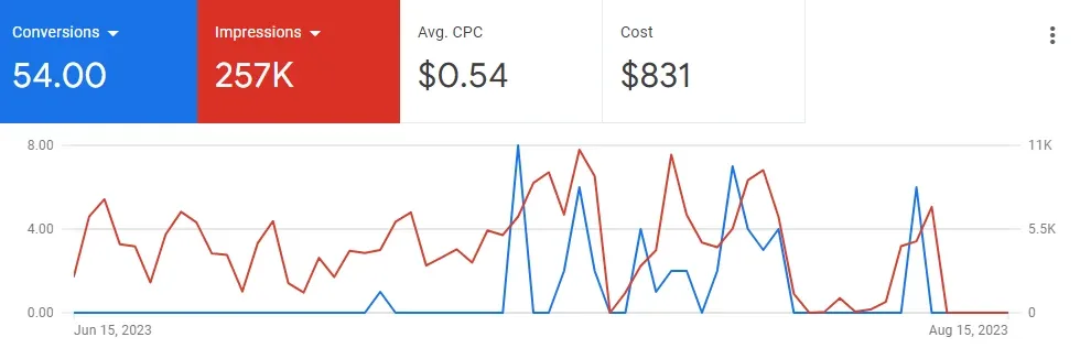 Google Ads Strategy with Performance Max: Screenshot CC Google Ads